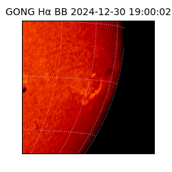 gong - 2024-12-30T19:00:02