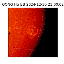 gong - 2024-12-30T21:00:02