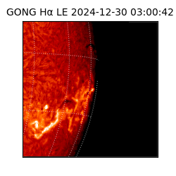gong - 2024-12-30T03:00:42