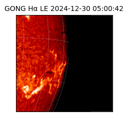 gong - 2024-12-30T05:00:42