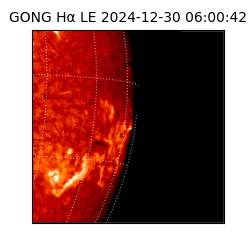 gong - 2024-12-30T06:00:42