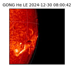 gong - 2024-12-30T08:00:42