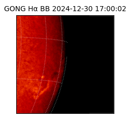 gong - 2024-12-30T17:00:02