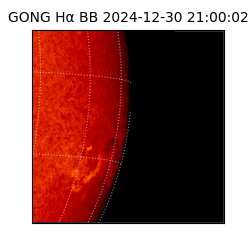 gong - 2024-12-30T21:00:02
