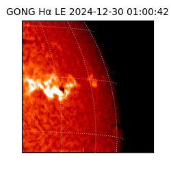 gong - 2024-12-30T01:00:42