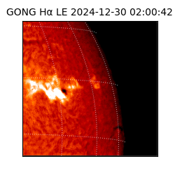 gong - 2024-12-30T02:00:42