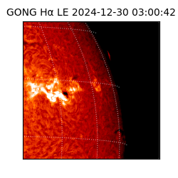 gong - 2024-12-30T03:00:42