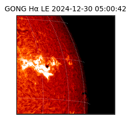 gong - 2024-12-30T05:00:42