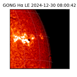 gong - 2024-12-30T08:00:42