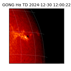 gong - 2024-12-30T12:00:22