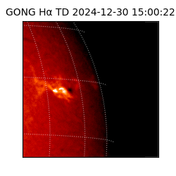 gong - 2024-12-30T15:00:22