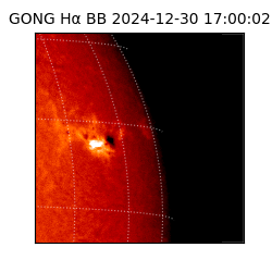 gong - 2024-12-30T17:00:02