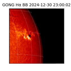gong - 2024-12-30T23:00:02