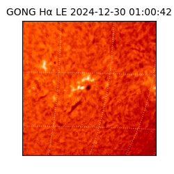 gong - 2024-12-30T01:00:42