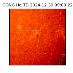 gong - 2024-12-30T09:00:22