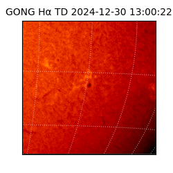 gong - 2024-12-30T13:00:22