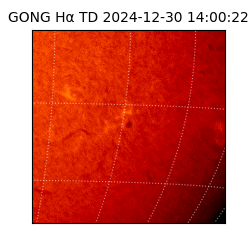 gong - 2024-12-30T14:00:22