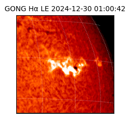 gong - 2024-12-30T01:00:42