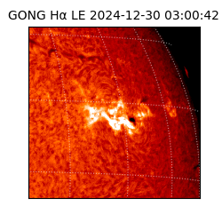 gong - 2024-12-30T03:00:42