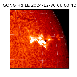 gong - 2024-12-30T06:00:42