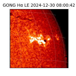 gong - 2024-12-30T08:00:42