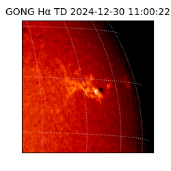 gong - 2024-12-30T11:00:22