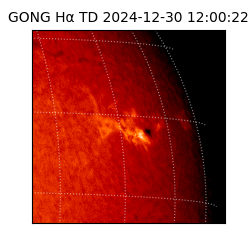 gong - 2024-12-30T12:00:22