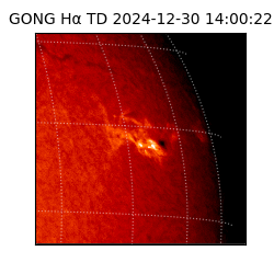 gong - 2024-12-30T14:00:22