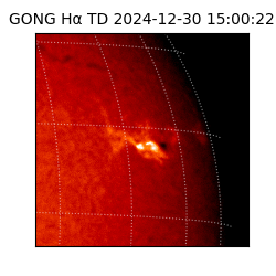gong - 2024-12-30T15:00:22