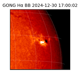 gong - 2024-12-30T17:00:02