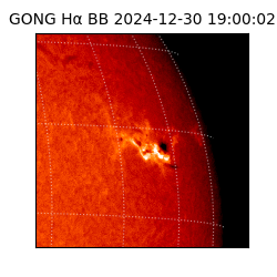 gong - 2024-12-30T19:00:02