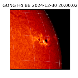 gong - 2024-12-30T20:00:02