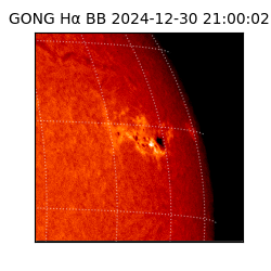 gong - 2024-12-30T21:00:02