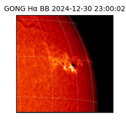 gong - 2024-12-30T23:00:02