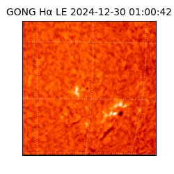 gong - 2024-12-30T01:00:42