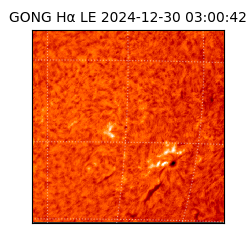 gong - 2024-12-30T03:00:42