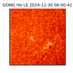 gong - 2024-12-30T06:00:42