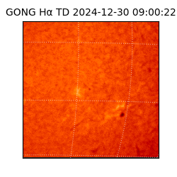 gong - 2024-12-30T09:00:22