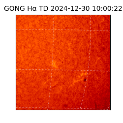 gong - 2024-12-30T10:00:22