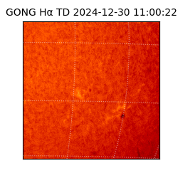 gong - 2024-12-30T11:00:22
