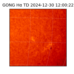 gong - 2024-12-30T12:00:22