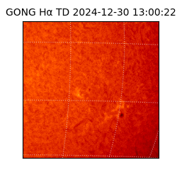 gong - 2024-12-30T13:00:22