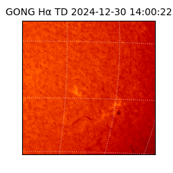 gong - 2024-12-30T14:00:22