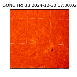 gong - 2024-12-30T17:00:02