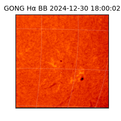 gong - 2024-12-30T18:00:02