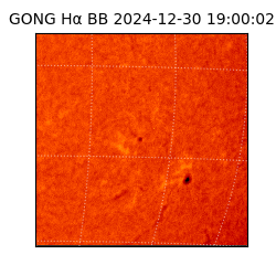 gong - 2024-12-30T19:00:02