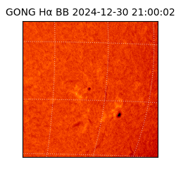 gong - 2024-12-30T21:00:02