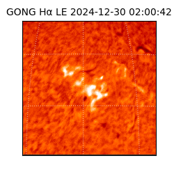 gong - 2024-12-30T02:00:42