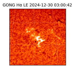 gong - 2024-12-30T03:00:42