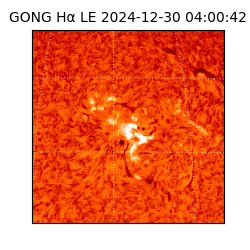 gong - 2024-12-30T04:00:42